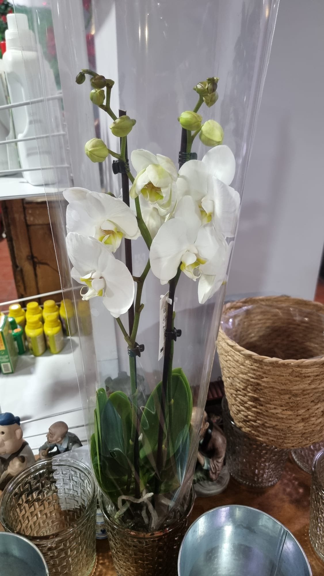 Ramo de Floristería Peña Sacra