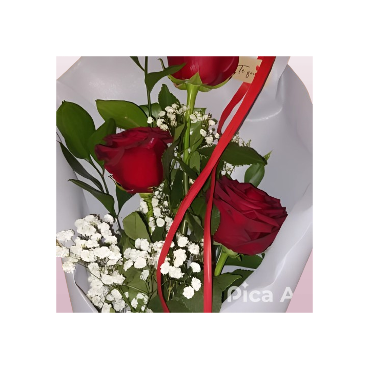 Ramo de Rosas Rojas Pequeño